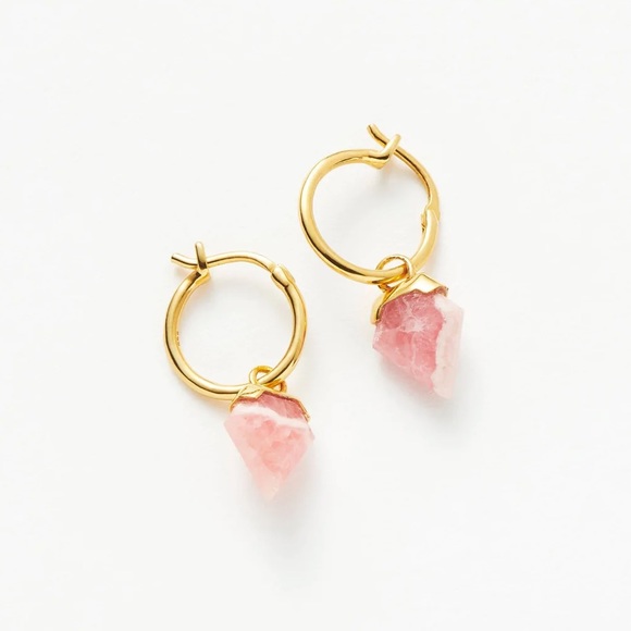 Missoma Jewelry Nwt Mini Shield Hoop Earrings Poshmark